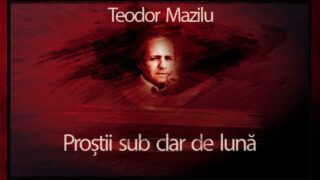 Prostii sub clar de luna teautru audio Teodor Mazilu piesa radiofonica