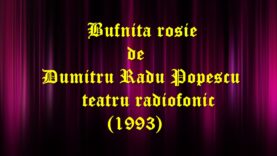 Bufnita rosie de Dumitru Radu Popescu teatru radiofonic latimp(1993)teatru.latimp.eu