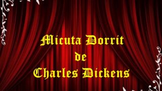 Micuta Dorrit de Charles Dickens