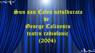 Sun sau Calea netulburata (2004) de George Calinescu teatru radiofonic latimp.eu