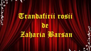 Trandafirii rosii de Zaharia Barsan