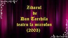 Zidarul de Dan Tarchila teatru la microfon (2003) latimp.eu