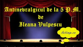 Antinevralgicul de la 5 P.M. de Ileana Vulpescu teatru latimp.eu3