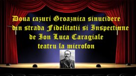 Doua cazuri Groaznica sinucidere din strada Fidelitatii si Inspectiune de Ion Luca Caragiale teatru la microfon latimp.eu
