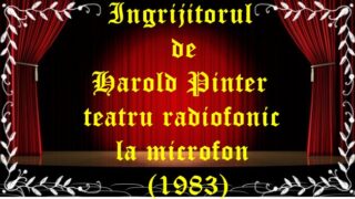 Ingrijitorul de Harold Pinter teatru radiofonic la microfon (1983) teatru latimp.eu