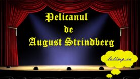 Pelicanul de August Strindberg teatru latimp.eu3