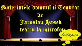 Suferintele domnului Tenkrat de Jaroslav Hasek teatru la microfon teatru latimp.eu3