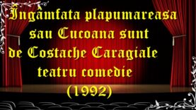 Îngâmfata plăpumăreasă sau Cucoană sunt de Costache Caragiale teatru comedie (1992) teatru latimp.eu1