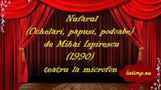 Nufarul (Ochelari, papusi, podoabe) de Mihai Ispirescu (1990) teatru la microfon teatru la microfon latimp.eu