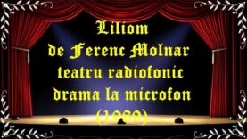 Liliom de Ferenc Molnar teatru radiofonic drama la microfon(1989) latimp.eu teatru