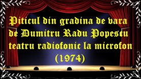 Piticul din gradina de vara de Dumitru Radu Popescu teatru radiofonic la microfon (1974) latimp.eu teatru