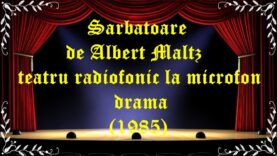 Sarbatoare de Albert Maltz teatru radiofonic la microfon drama (1985) latimp.eu teatru