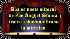 Aici se naste viitorul de Zoe Anghel Stanca teatru radiofonic drama la microfon latimp.eu teatru