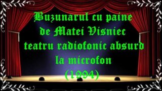 Buzunarul cu paine de Matei Visniec teatru radiofonic absurd la microfon(1994) latimp.eu teatru