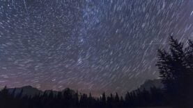 Perseid Meteors and Star Trails