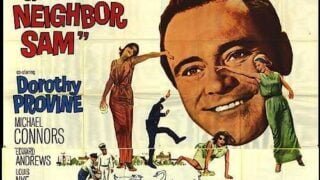 Good Neighbor Sam – Bunul meu vecin Sam 1964 film subtitrat romana comedie romantica