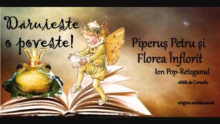 Piparus Petru si Florea Inflorit de Ion Pop Reteganul povesti audio la microfon latimp.eu
