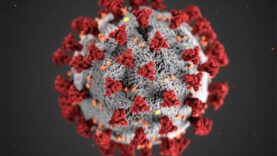 corona-virus covid-19 ce este de unde vine cine de ce