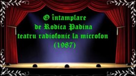 O întamplare de Rodica Padina teatru radiofonic la microfon (1987) latimp.eu