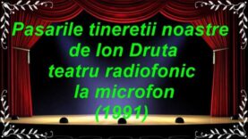 Pasarile tineretii noastre teatru radiofonic la microfon (1991) latimp.eu teatru