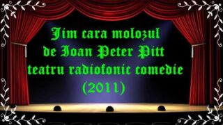 Jim cară molozul de Ioan Peter Pitt teatru radiofonic comedie (2011) latimp.eu teatru