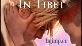 7 ani in tibet film subtitrat romana