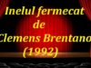 teatru latimp.eu